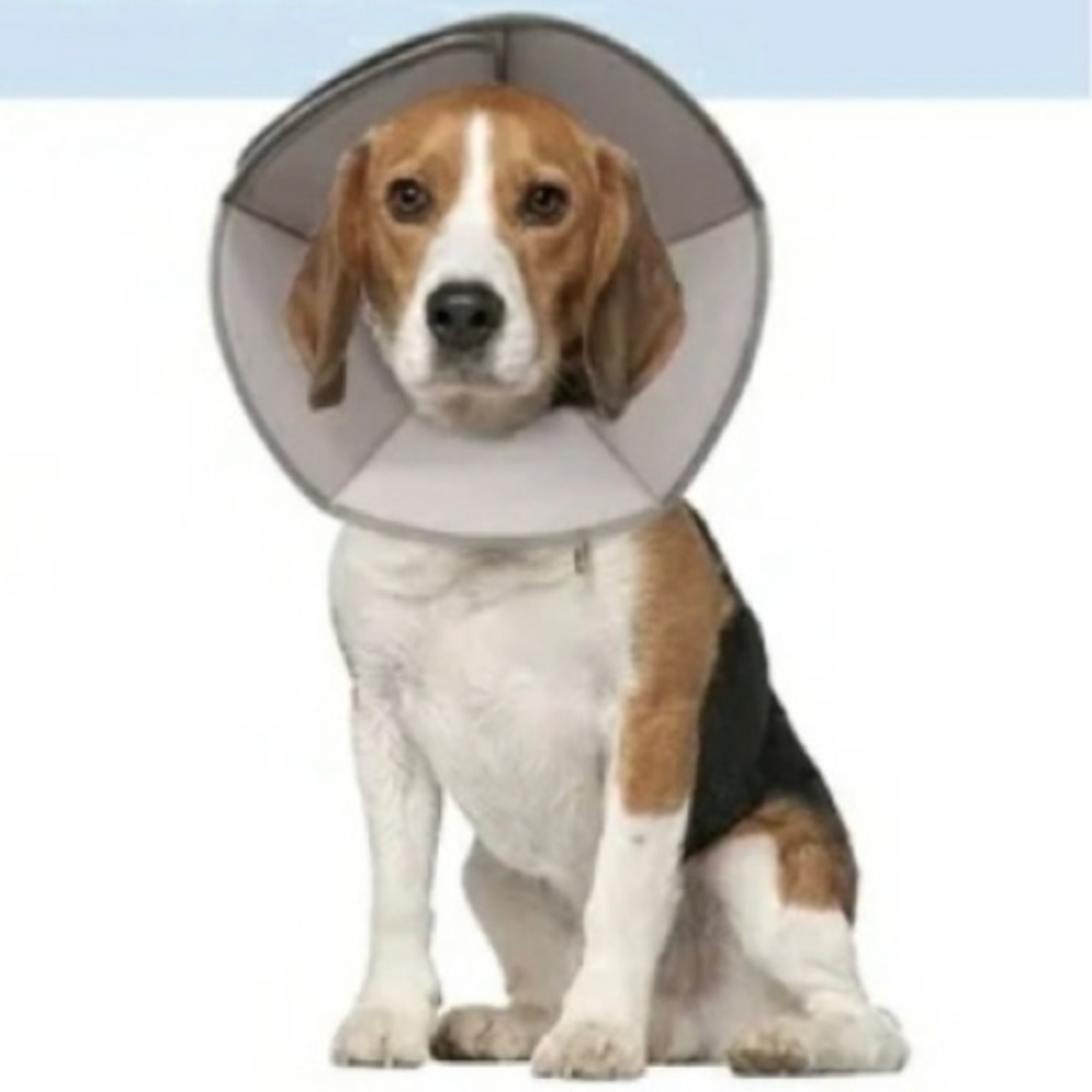 NWT Unopened Banooo soft Pet recovery cone Dog recovery cone Size Large Yellow
